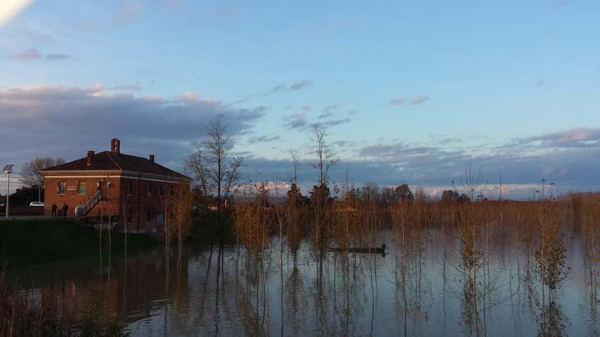 11 16/11/2014 PIENA PO NEL BASSO PAVESE CHIGNOLO PO (PV) CHIAVICA