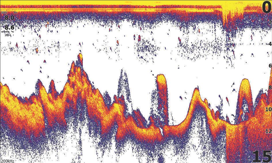 8 Sonar La funzione del sonar fornisce una visione dell'acqua e del fondo sotto l'imbarcazione, consentendo di rilevare la presenza di pesci e di esaminare la struttura del fondo.