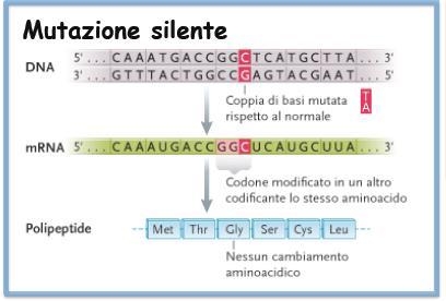 MUTAZIONE SILENTE Le mutazioni silenti o sinonime si verificano quando la sostituzione di una base azotata in una sequenza di DNA non determina