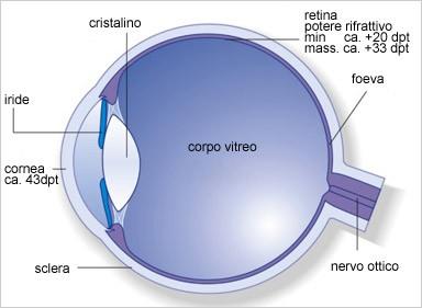 DALL'OCCHIO ALLA REFLEX Formazione