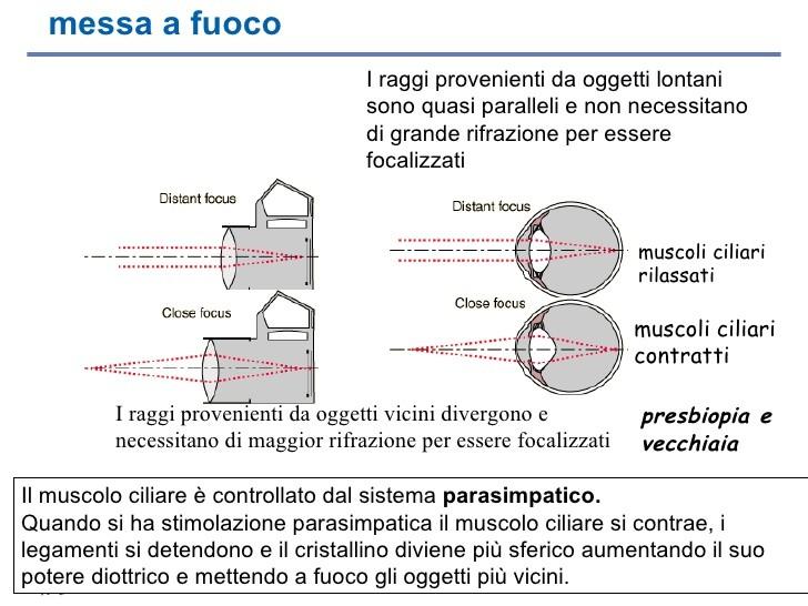 La visione selettiva elimina gli elementi che distraggono.