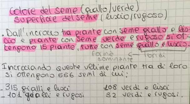 VERIFICA DELLE PROPORZIONI TRA I FENOTIPI DELLA F2 NELLA TRASMISSIONE DI DUE CARATTERI I dati