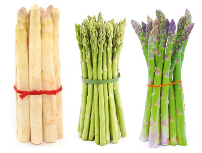 Ortaggi da fusto: asparago L asparago ha origine molto antiche La parte commestibile