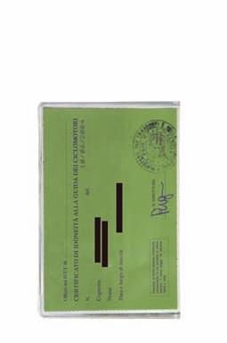 20038205 050 2 documenti PVC Clear Clear (buccia) 1x50 pz MONEY & CARD TOUCH porta cards e porta banconote - Angolini e parabordi dorati -