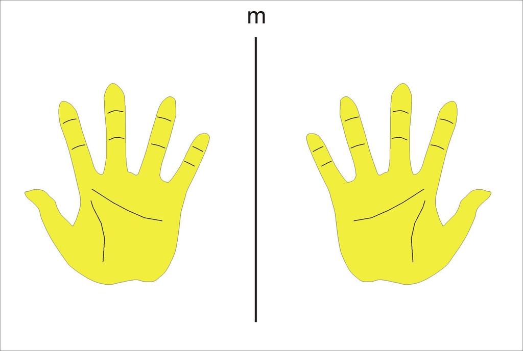 Piano riflessione La mano viene riflessa da un piano (m).