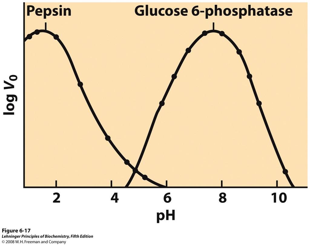 Velocità di reazione Effetto del ph sulla velocità di una reazione enzimatica Da ricollegare al diverso stato di