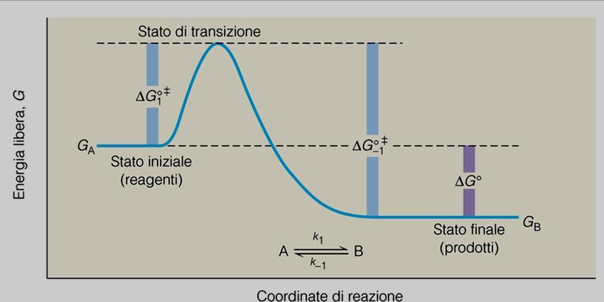 A B Affinché avvenga la trasformazione dei reagenti in prodotti è necessario superare un dislivello