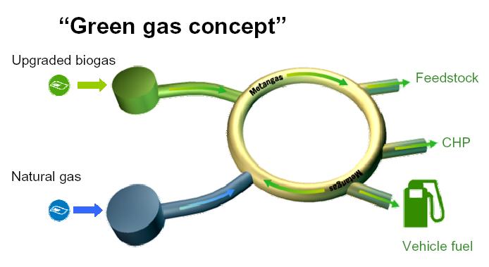 Il Biometano Il biometano si ottiene dal biogas depurato dall anidride carbonica e dalle altre impurità che contiene