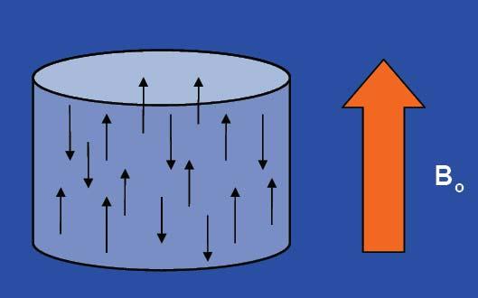 Applicando un campo magnetico esterno B 0 Allineamento