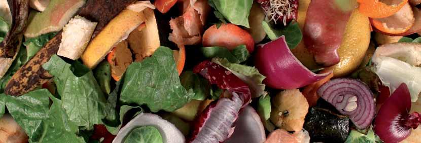 RIFIUTI ORGANICI Separare i rifiuti organici dai restanti rifiuti e metterli nei sacchetti biodegradabili all interno della pattumiera.