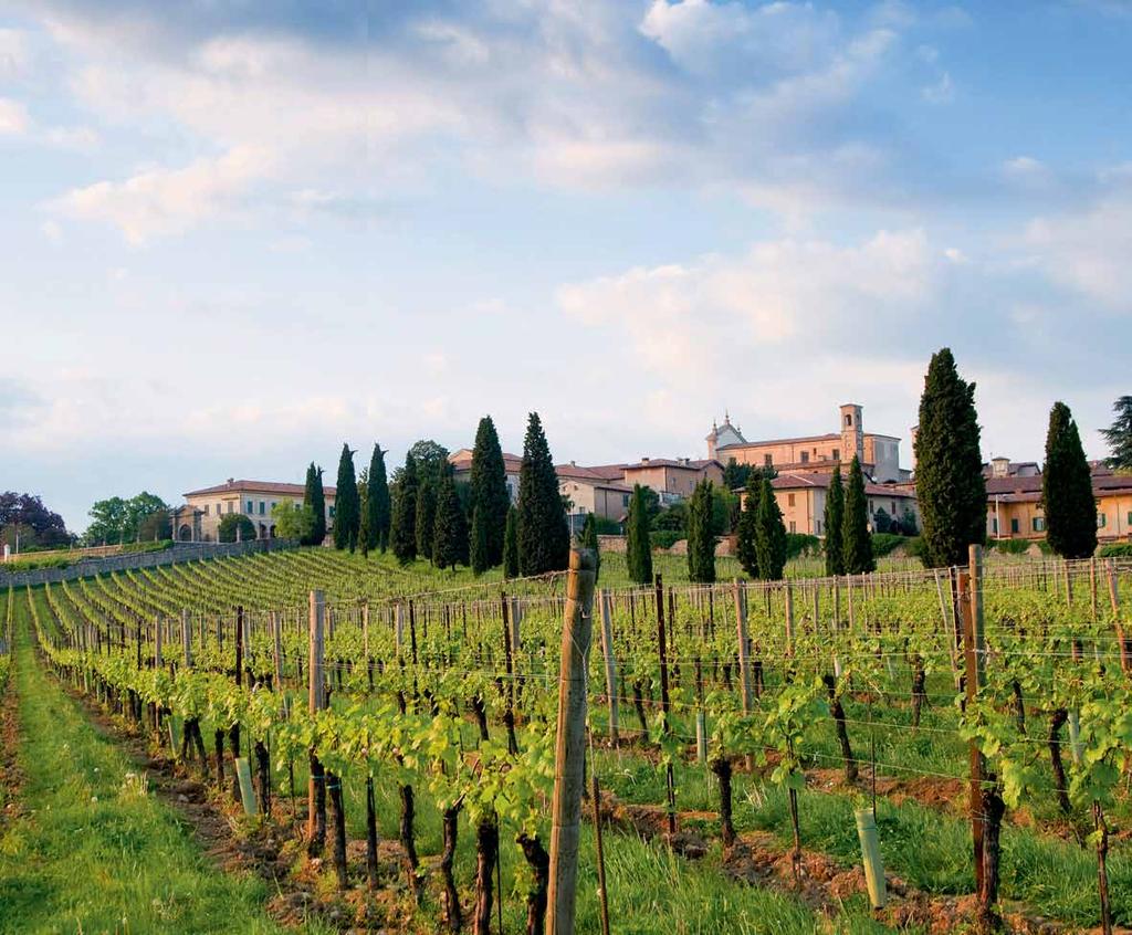 FRANCIACORTANDO CHE COS È? Franciacortando costituisce un importante evento che si sviluppa lungo il territorio della Franciacorta. Una manifestazione enogastronomica, naturalistica e culturale.