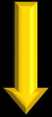 E. coli 24 subunità) E 2 = diidrolipoammide