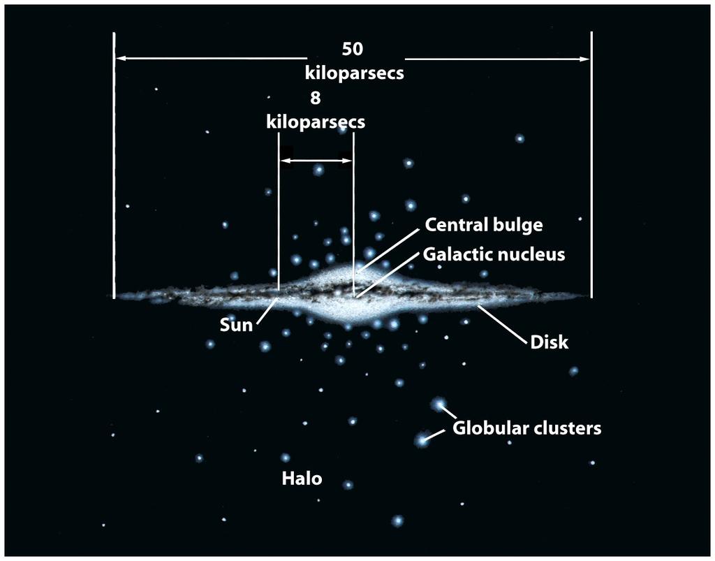 La struttura della Galassia La Galassia ha 3 componenti principali: disco (stelle, gas, polvere); sferoide (bulge; stelle); alone (stelle, materia oscura).