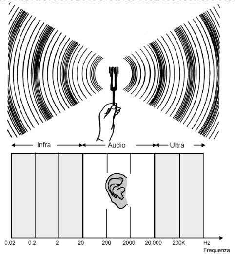 Il suono L'orecchio umano è sensibile a variazioni della pressione attorno a quella media atmosferica che avvengono con frequenza compresa tra 20 e