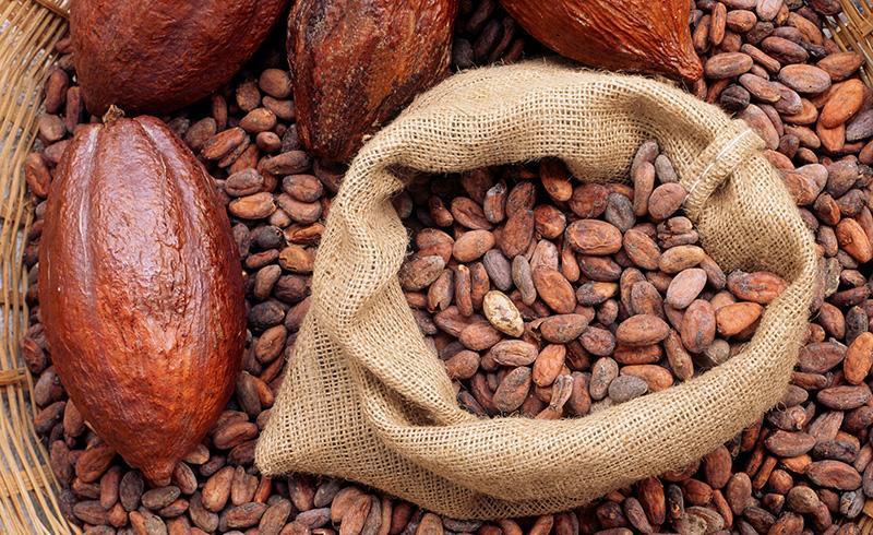 Il commercio Il commercio era fondamentale. L unico mezzo per acquisire beni era la permuta, ma poiché non esisteva denaro si scelse il cacao come moneta.