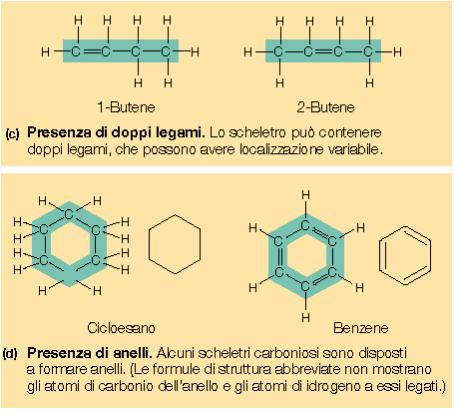 IDROGENO - SONO MOLECOLE IDROFOBE - RAPPRESENTANO FONTE DI ENERGIA PER LA