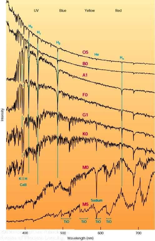 Spettri stellari Notare: Spettri delle classi spettrali principali 1. La variazione di intensità delle righe di Balmer 2. La presenza di He alla alte temperature superficiali 3.