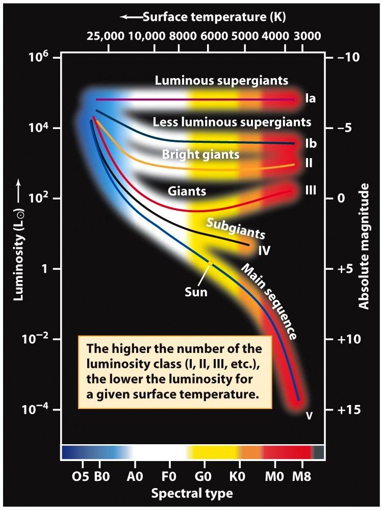 Classi di luminosità Temperatura superficiale (K) Luminosità (L ) Supergiganti luminose Supergiganti meno luminose Giganti brillanti Giganti sub-giganti Sequenza principale Più alto è il numero della