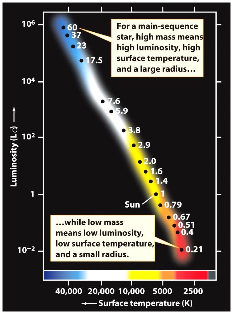 Masse stellari e diagramma H-R Gli studi dei sistemi binari mostrano che la sequenza principale costituisce una sequenza di masse crescenti al crescere della temperatura.