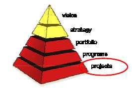 IL MAPPING Il testo Mapping of CobiT with PMBOK IV (IT Governance Institute, agosto 2006) contiene una mappa dettagliata tra i due standard Punto di attenzione: il testo analizza PMBOK Guide ( While