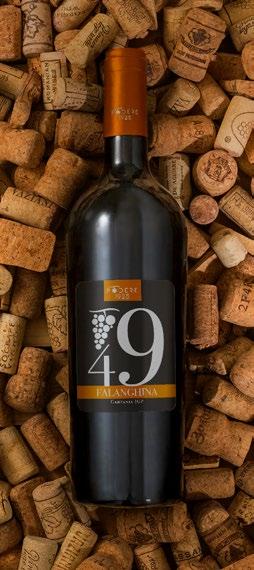 il 49 Anno di nascita di Nicola che, al fianco del suocero, punta con passione e determinazione alla produzione e vendita di vino andando a delineare l identità della piccola azienda di Vincenzo.