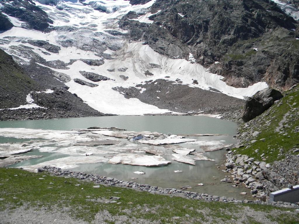 È un lago intramorenico, di recente formazione, originatosi negli anni 40 a causa del ritiro del ghiacciaio.