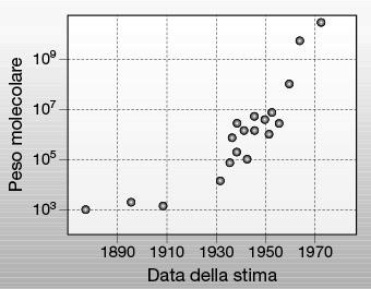 Ipotesi dei tetranucleo0de Levene, 1910 (AGCT) n il DNA costituito da quantità eguali di adenina, guanina, citosina e timina.