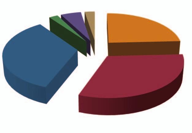 Impieghi finali di energia per settore 2011 34,4% 2,2% 5,1% 2,5% 24,2% Industria