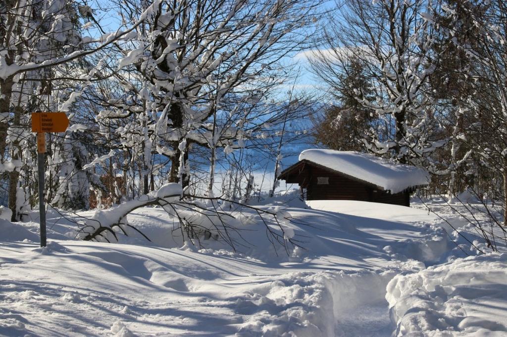Bollettino del clima Dicembre 2017 _ Dicembre è risultato prettamente invernale con molta neve fresca in montagna.