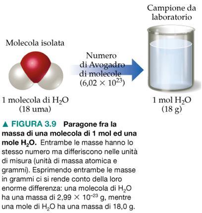 Contare per moli: la massa molare Per altri tipi di sostanze, la stessa relazione numerica esiste tra il peso formula (in amu) e la massa (in grammi) di una mole di sostanza: 1 molecola di H 2 O ha