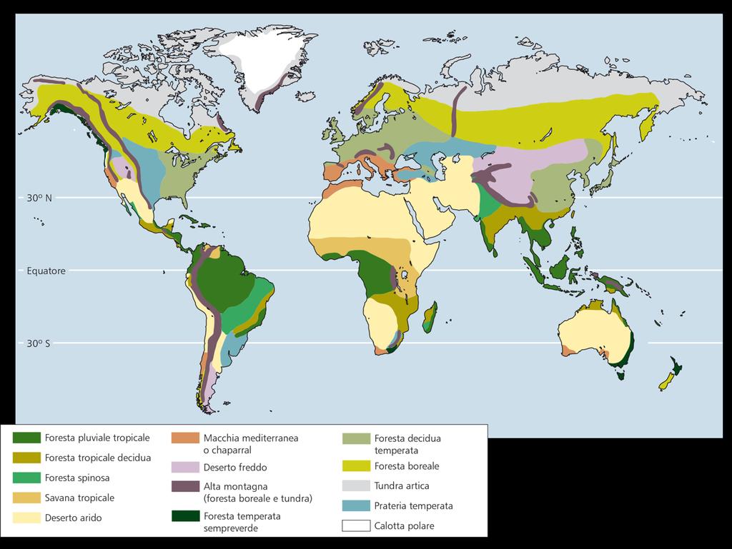 c. Interazione tra organismi e ambiente La