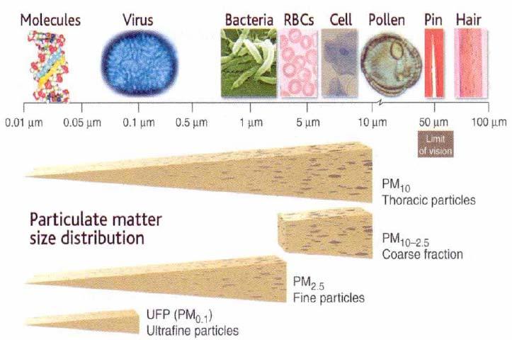 particolato atmosferico -PM (Particulate Matter)- polveri sottili: particelle