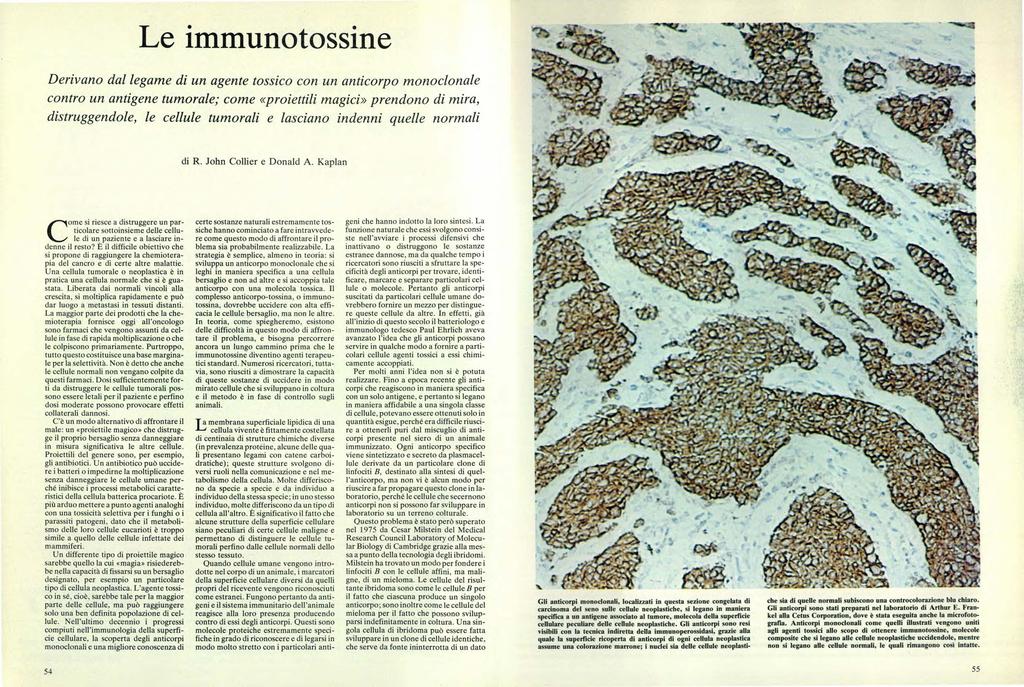 Le immunotossine Derivano dal legame di un agente tossico con un anticorpo monoclonale contro un antigene tumorale; come «proiettili magici» prendono di mira, distruggendole, le cellule tumorali e