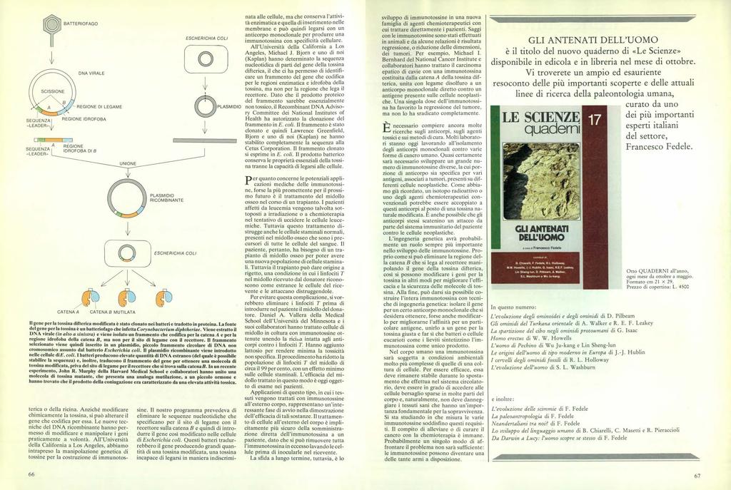 v SEQUENZA «LEADER» V 12731E J BATTERIOFAGO DNA VIRALE ---- REGIONE DI LEGAME REGIONE IDROFOBA A REGIONE SEQUENZA IDROFOBA DI B «LEADER» UNIONE CATENA A CATENA B MUTILATA Il gene per la tossina