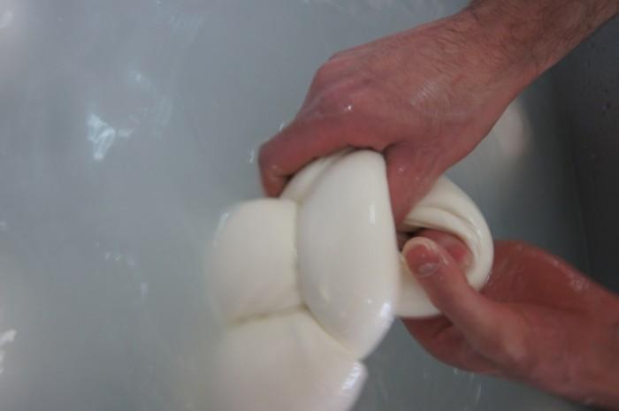 viene trasformato su una linea semi-artigianale in mozzarella di bufala campana dop, un prodotto capace di offrire oltre al sapore della sua tipicità anche i sapori della giustizia e della libertà.