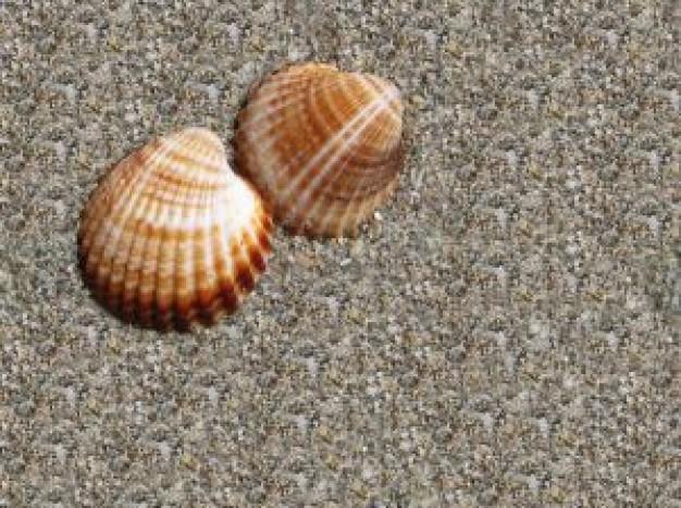 AGOSTO Temporale d estate accende la notte per un istante, il caldo resta afoso. Il mare è fresco, la sabbia calda.