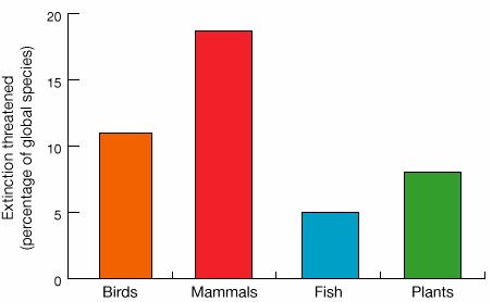 Tassi di estinzione Distruzione dell habitat Tempo di vita medio di una specie