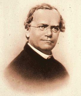 La Genetica Il monaco Gregor Mendel (1822-1884) fu il primo a studiare in modo rigoroso il fenomeno della trasmissione dei caratteri