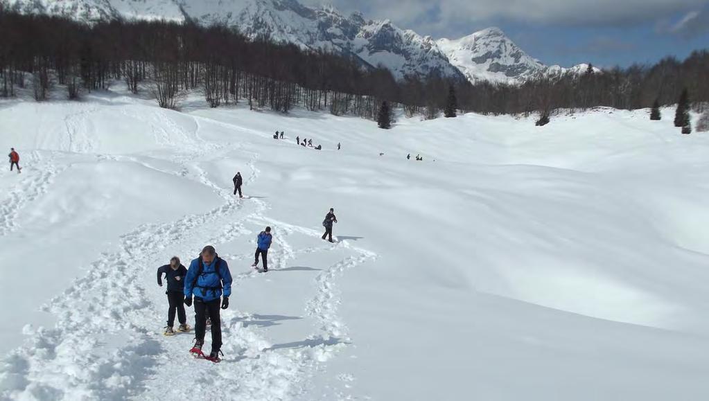 ITTS VITO VOLTERRA SAN DONA' DI PIAVE (VE) PROGETTO PIANCAVALLO USCITE DIDATTICHE IN AMBIENTE MONTANO INVERNALE Prof.