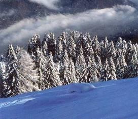 Sovraccarico: neve fresca,