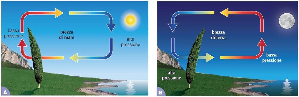 La brezze marine sono dovute al gradiente barico, ossia alla differenza di pressione che si determina tra la massa d aria che si trova sopra il mare e quella che si