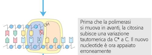 CORREZIONE