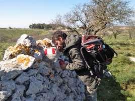 In Bici tra Grillai e Calandre : I 12 itinerari ciclabili editata dal Parco Nazionale dell Alta Murgia «In Bici tra Grillai e Calandre» guida degli itinerari in mountain bike del PNAM contenente 12