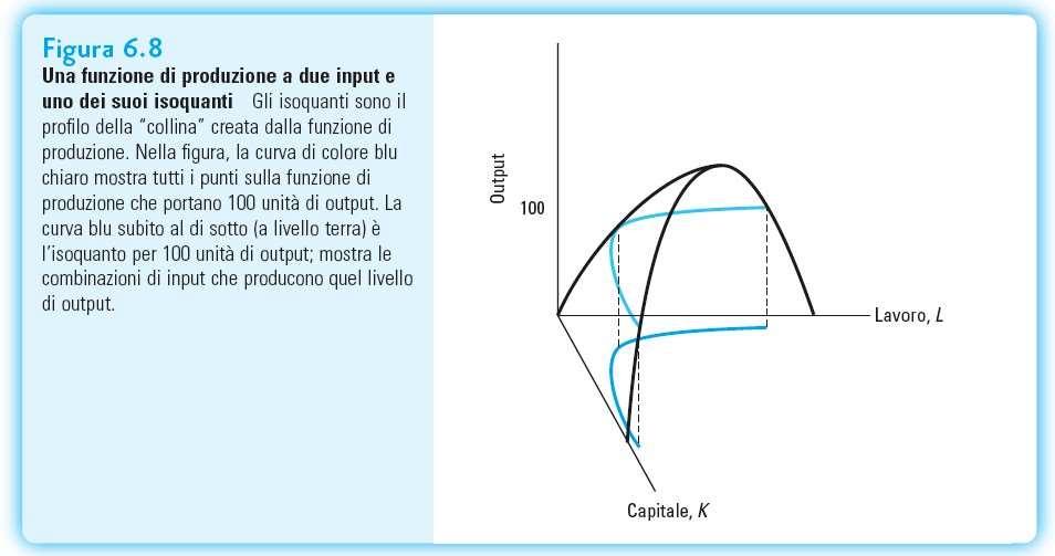 L Isoquanto