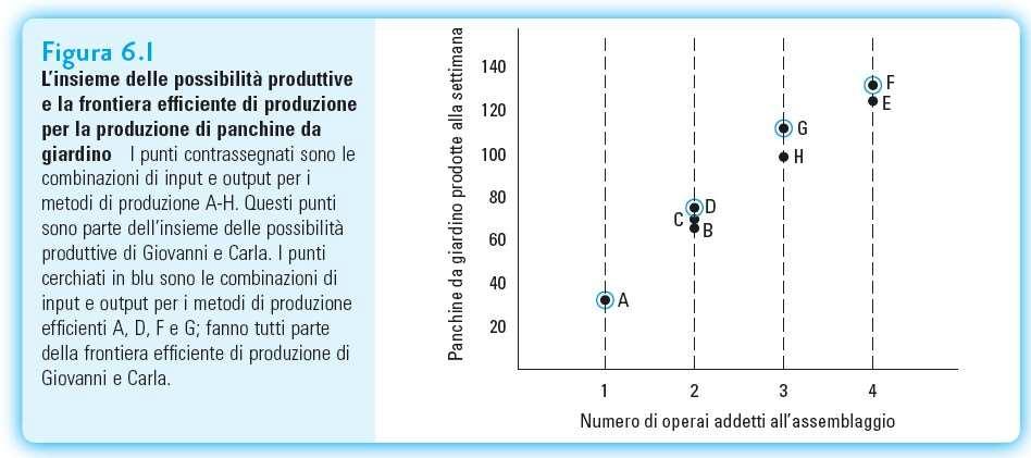 Insieme