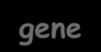 2- MALATTIE RECESSIVE: a) SCREENING PRECONCEZIONALE con Clinical Exome Sequencing-NGS in un componente della coppia b) successivo riscontro nel partner delle eventuali mutazioni