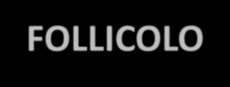 BIOLOGIA E GENETICA della LANA DEFINIZIONE Il PELO è un prodotto cheratinizzato del follicolo Il FOLLICOLO è una