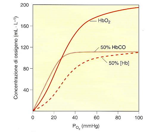 Influenza del CO sulla curva di dissociazione di O2 l Hb ha una affinità 250 volte maggiore per il CO il CO sposta la curva di saturazione verso