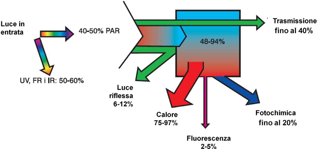 La fluorescenza della clorofilla a 35 Figura 2.1 Ripartizione della luce assorbita dalla foglia.