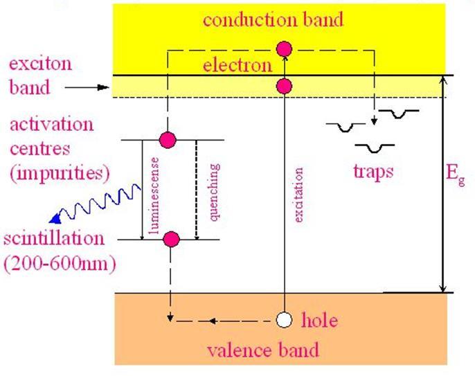 Scintillatori Inorganici Sono cristalli drogati con impurità (attivatori). In generale, hanno una risposta in luce 2-3 volte maggiore degli scintillatori organici.